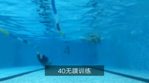 彰显“国际湿地、沿海绿城”生态魅力